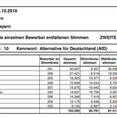 AfD Ergbenisse Bezirkstagswahlen 2018