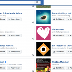 Andrea Lehwald Facebook-Likes (Quelle: Facebook)
