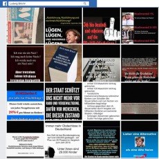 Ludwig Blöchl Facebook-Postings (Quelle: Facebook)